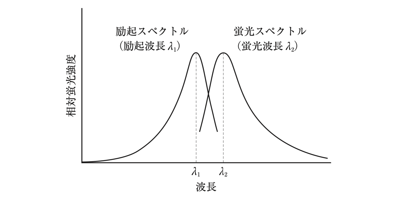 解説画像